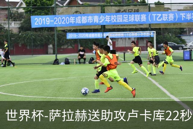 世界杯-萨拉赫送助攻卢卡库22秒造乌龙 比利时1-1埃及